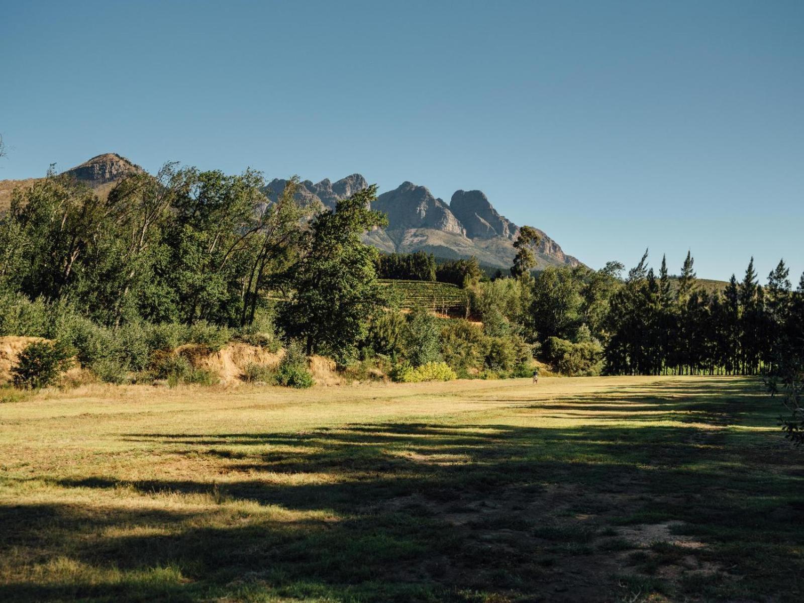 Vila Africamps At Doolhof Wine Estate Wellington Exteriér fotografie